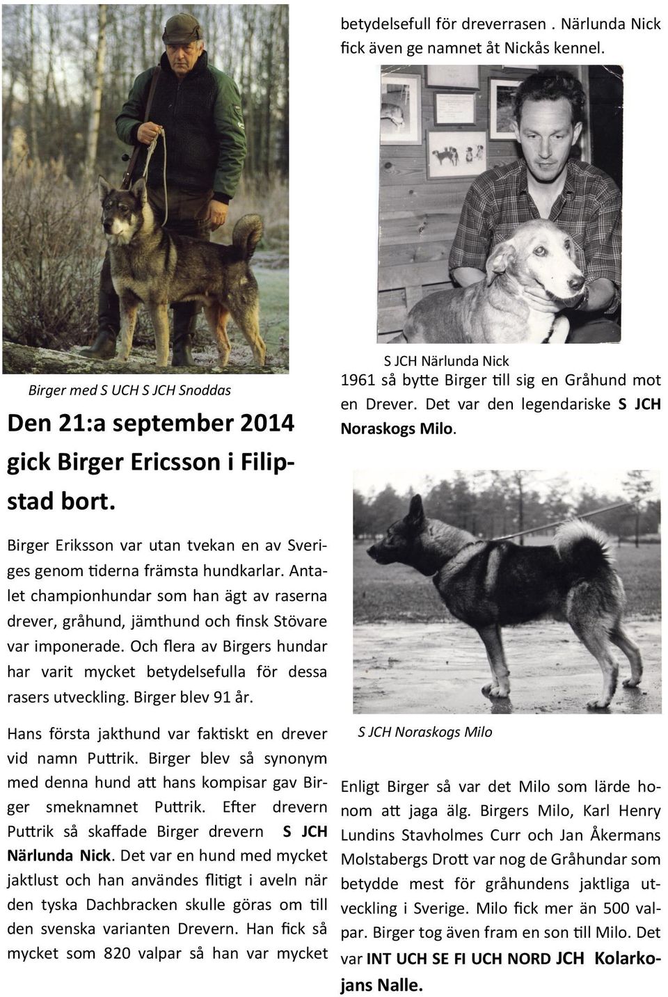 Och flera av Birgers hundar har varit mycket betydelsefulla för dessa rasers utveckling. Birger blev 91 år. S JCH Närlunda Nick 1961 så bytte Birger till sig en Gråhund mot en Drever.