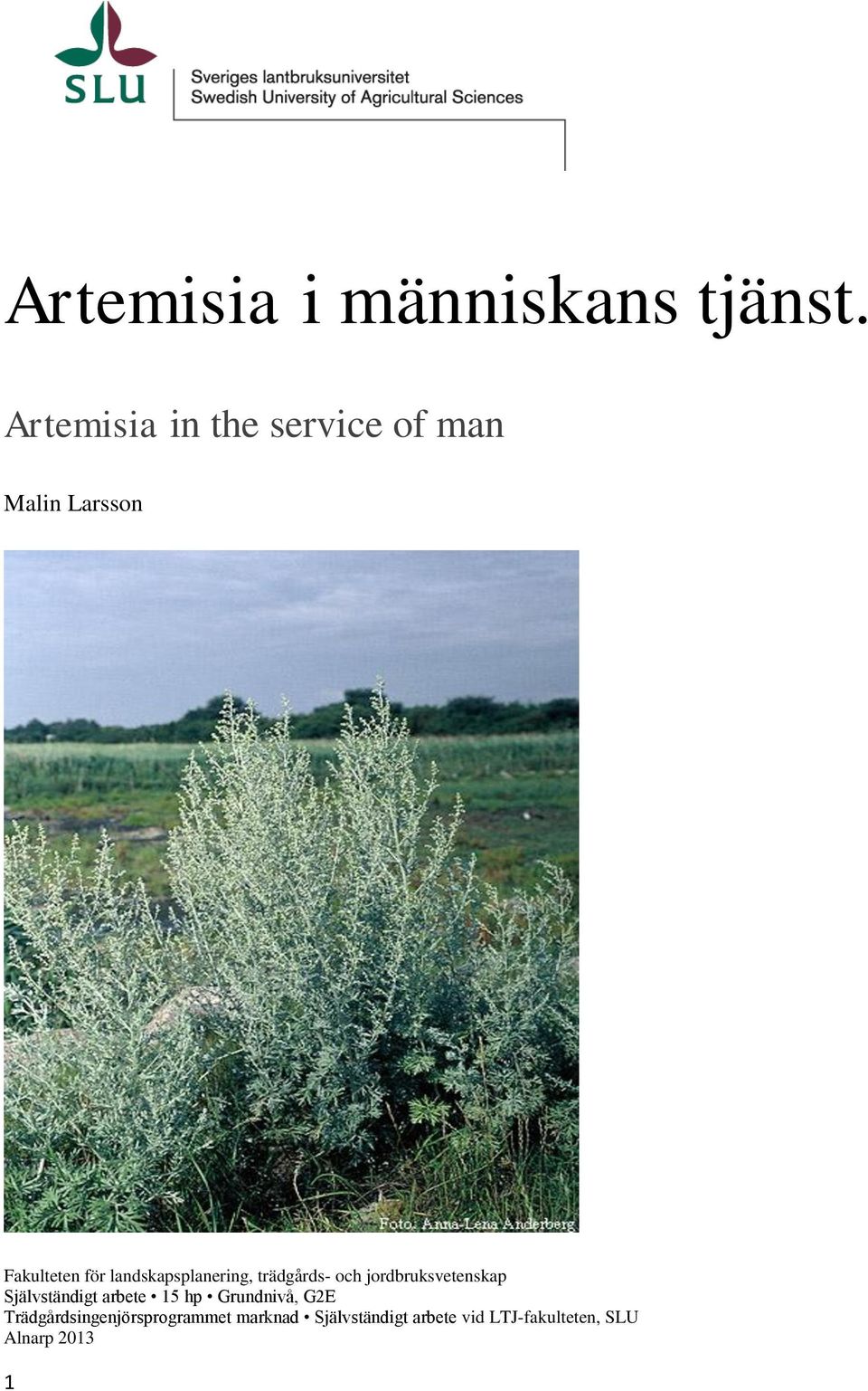landskapsplanering, trädgårds- och jordbruksvetenskap Självständigt