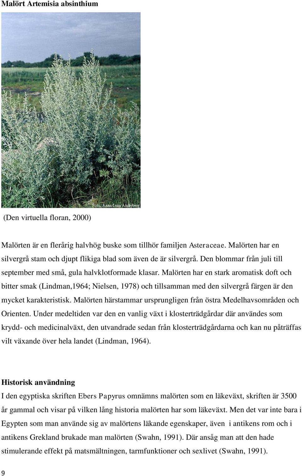 Malörten har en stark aromatisk doft och bitter smak (Lindman,1964; Nielsen, 1978) och tillsamman med den silvergrå färgen är den mycket karakteristisk.