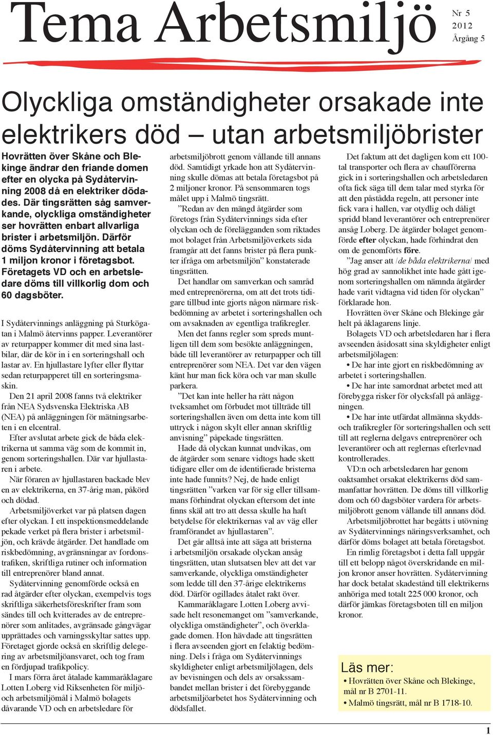 Därför döms Sydåtervinning att betala 1 miljon kronor i företagsbot. Företagets VD och en arbetsledare döms till villkorlig dom och 60 dagsböter.
