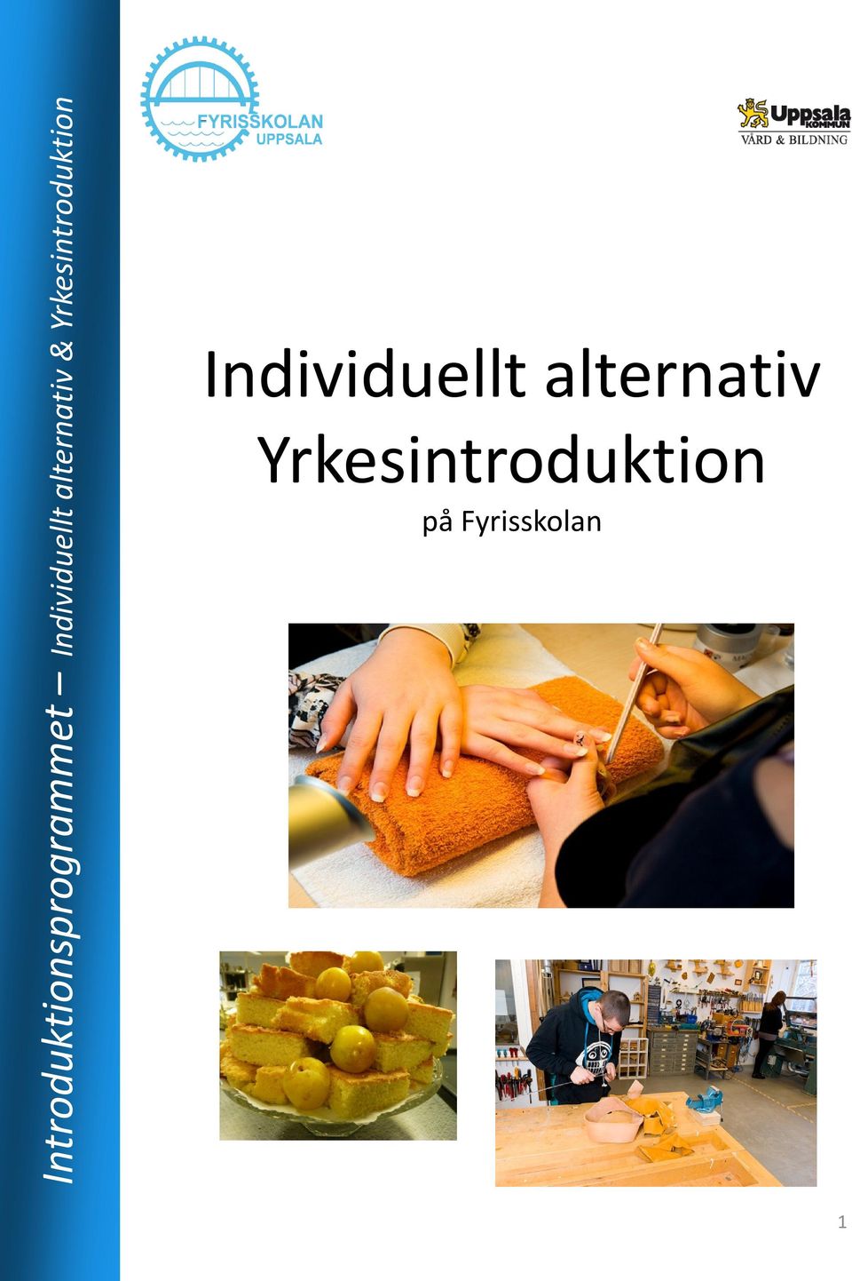 alternativ Yrkesintroduktion på