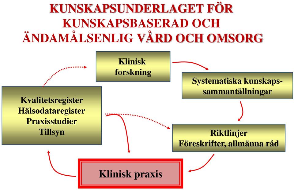 Praxisstudier Tillsyn Klinisk forskning Systematiska