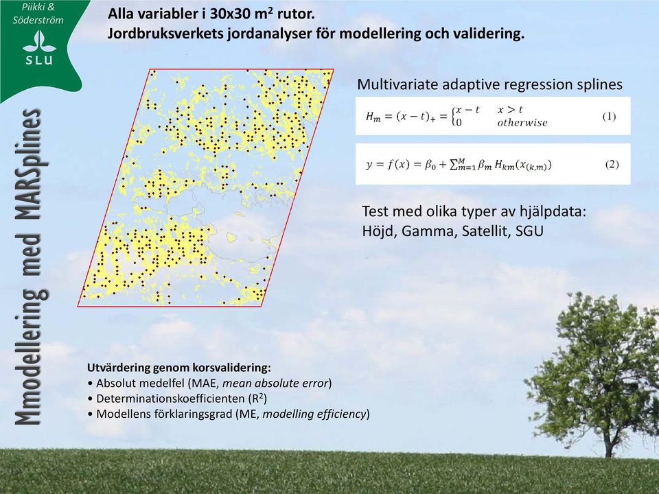 korsvalidering: Absolut medelfel (MAE, mean absolute error) Determinationskoefficienten (R 2 )