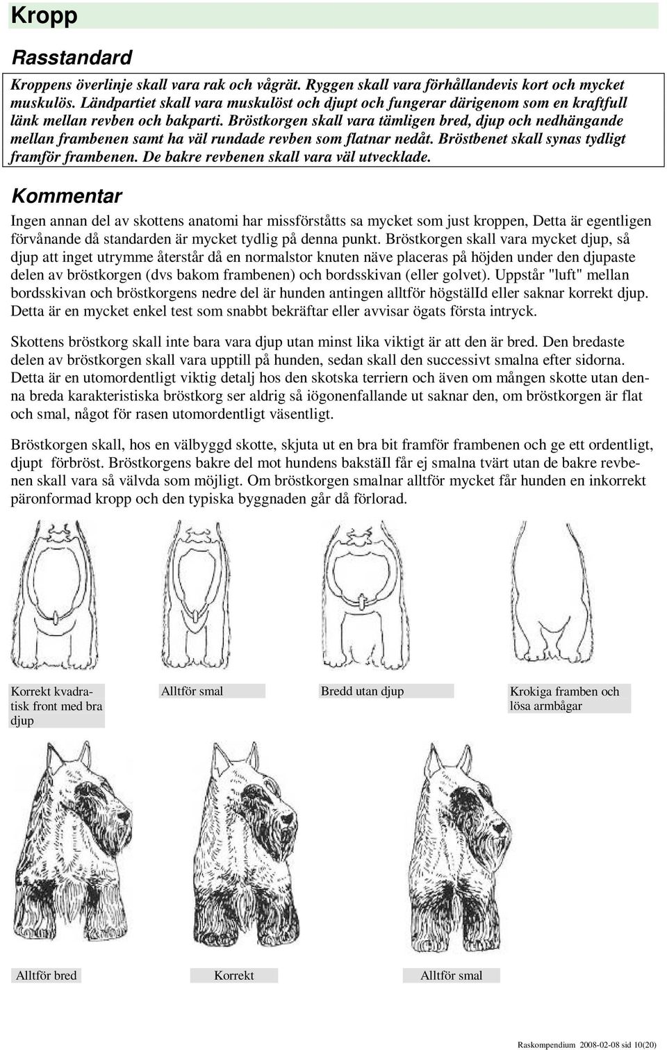 Bröstkorgen skall vara tämligen bred, djup och nedhängande mellan frambenen samt ha väl rundade revben som flatnar nedåt. Bröstbenet skall synas tydligt framför frambenen.