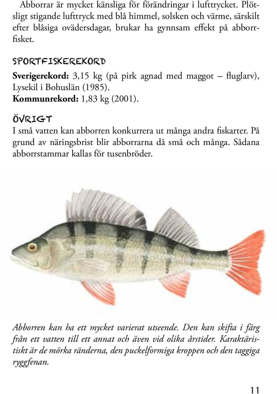 sportfiskerekord Sverigerekord: 3,15 kg (på pirk agnad med maggot fluglarv), Lysekil i Bohuslän (1985). Kommunrekord: 1,83 kg (2001).