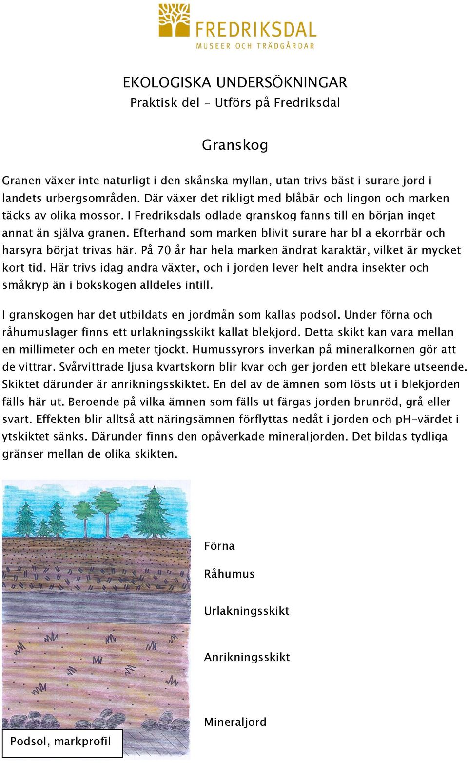 Efterhand som marken blivit surare har bl a ekorrbär och harsyra börjat trivas här. På 70 år har hela marken ändrat karaktär, vilket är mycket kort tid.