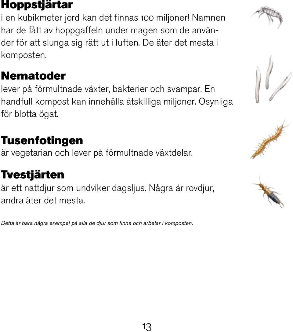 Nematoder lever på förmultnade växter, bakterier och svampar. En handfull kompost kan innehålla åtskilliga miljoner. Osynliga för blotta ögat.