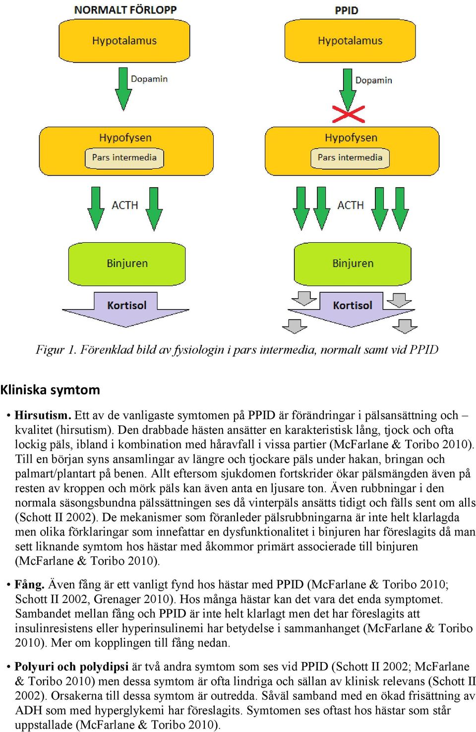 Den drabbade hästen ansätter en karakteristisk lång, tjock och ofta lockig päls, ibland i kombination med håravfall i vissa partier (McFarlane & Toribo 2010).