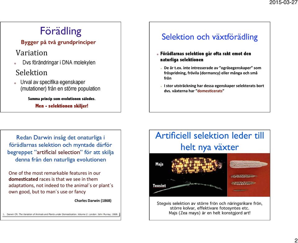 Förädlarnas selektion går ofta rakt emot den naturliga selektionen! De är t.ex. inte intresserade av ogräsegenskaper som fröspridning, frövila (dormancy) eller många och små frön!