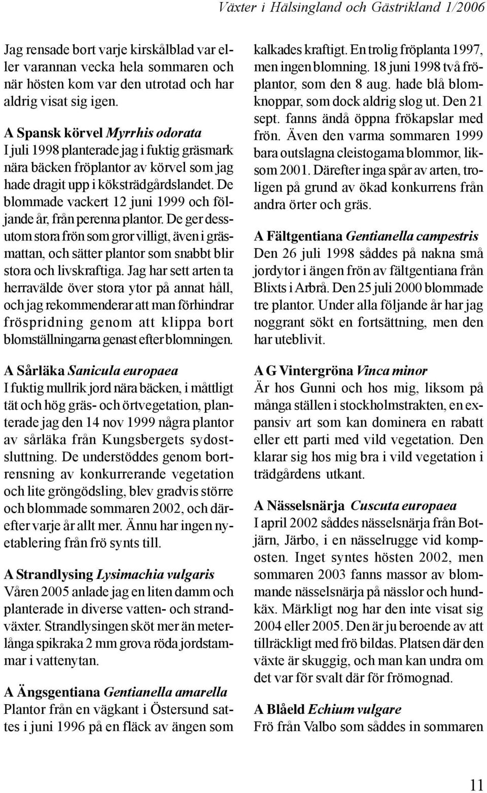 De blommade vackert 12 juni 1999 och följande år, från perenna plantor. De ger dessutom stora frön som gror villigt, även i gräsmattan, och sätter plantor som snabbt blir stora och livskraftiga.