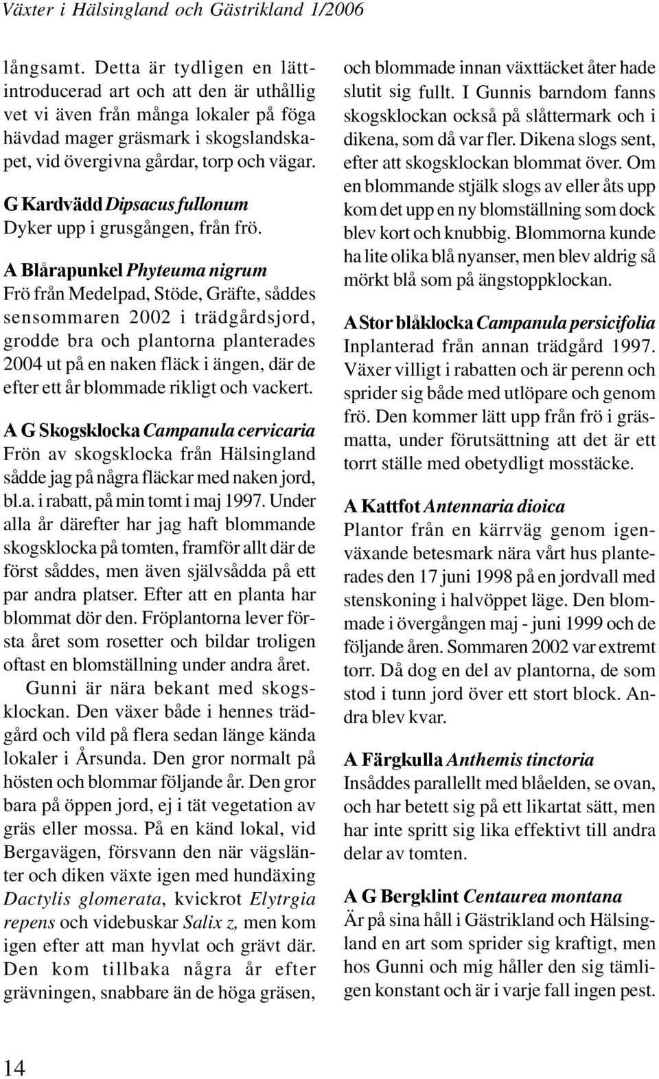 A Blårapunkel Phyteuma nigrum Frö från Medelpad, Stöde, Gräfte, såddes sensommaren 2002 i trädgårdsjord, grodde bra och plantorna planterades 2004 ut på en naken fläck i ängen, där de efter ett år