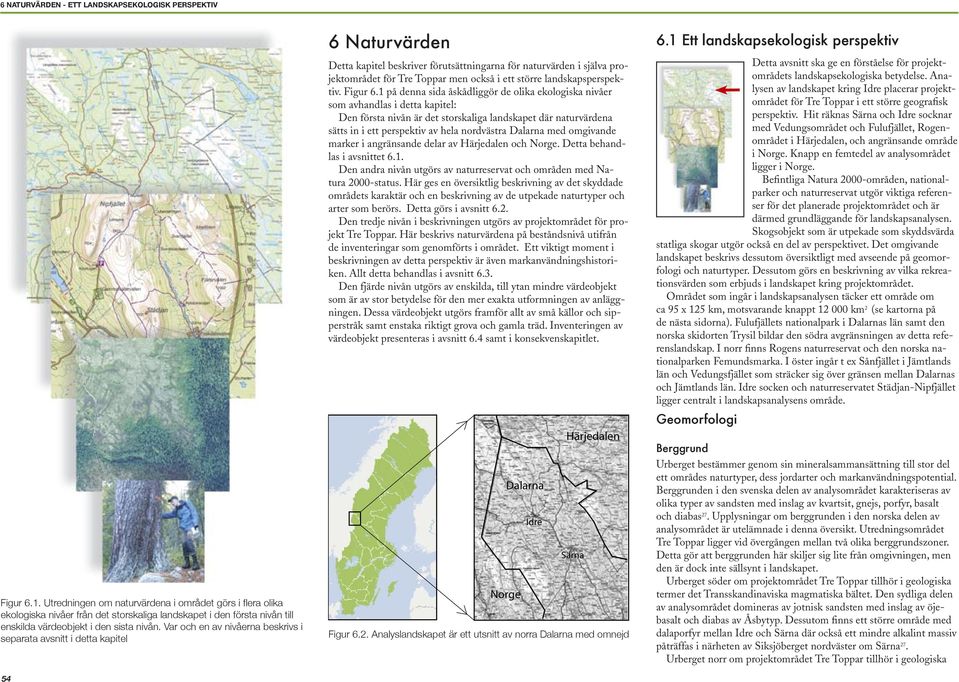 Var och en av nivåerna beskrivs i separata avsnitt i detta kapitel 54 6 Naturvärden Detta kapitel beskriver förutsättningarna för naturvärden i själva projektområdet för Tre Toppar men också i ett