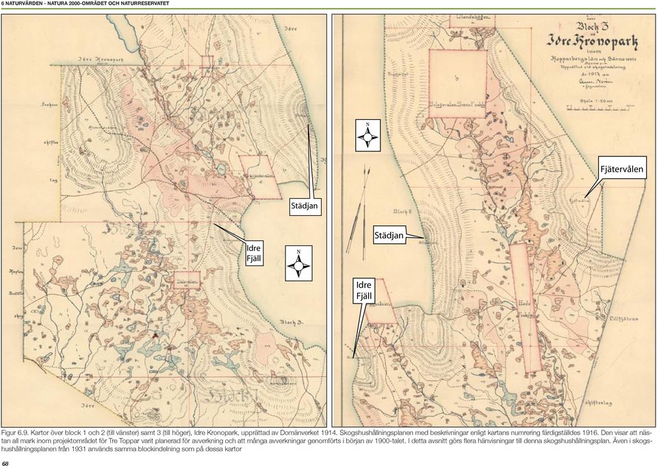 Skogshushållningsplanen med beskrivningar enligt kartans numrering färdigställdes 1916.