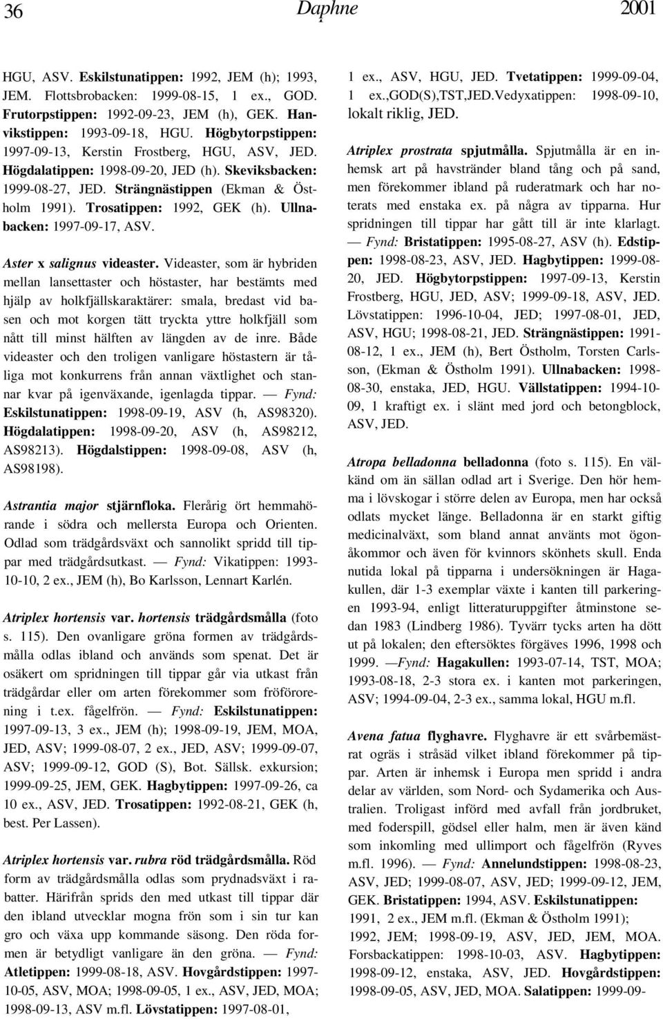 Ullnabacken: 1997-09-17, ASV. Aster x salignus videaster.