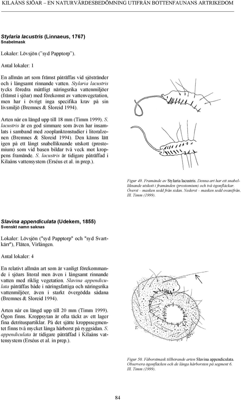 Arten når en längd upp till 18 mm (Timm 1999). S. lacustris är en god simmare som även har insamlats i samband med zooplanktonstudier i litoralzonen (Bremnes & Sloreid 1994).