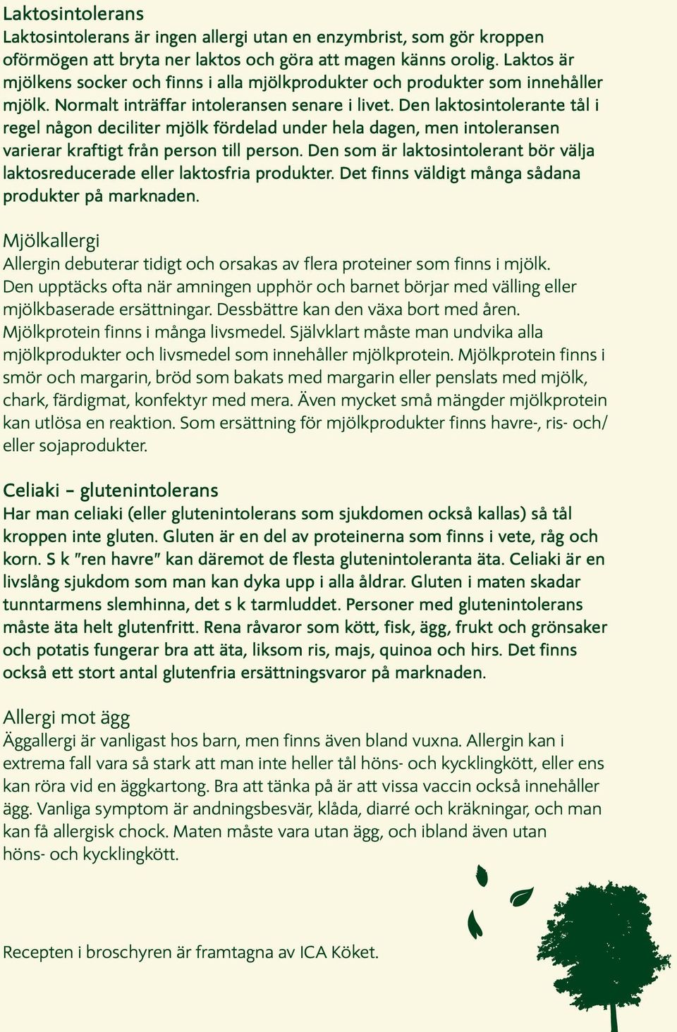 Den laktosintolerante tål i regel någon deciliter mjölk fördelad under hela dagen, men intoleransen varierar kraftigt från person till person.