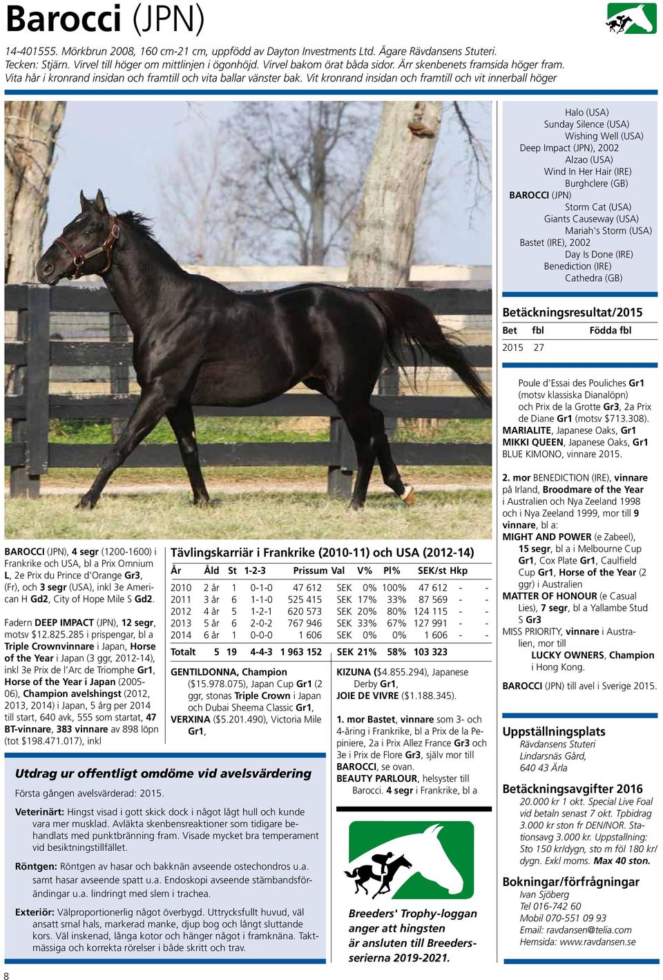 Vit kronrand insidan och framtill och vit innerball höger Halo (USA) Sunday Silence (USA) Wishing Well (USA) Deep Impact (JPN), 2002 Alzao (USA) Wind In Her Hair (IRE) Burghclere (GB) BAROCCI (JPN)