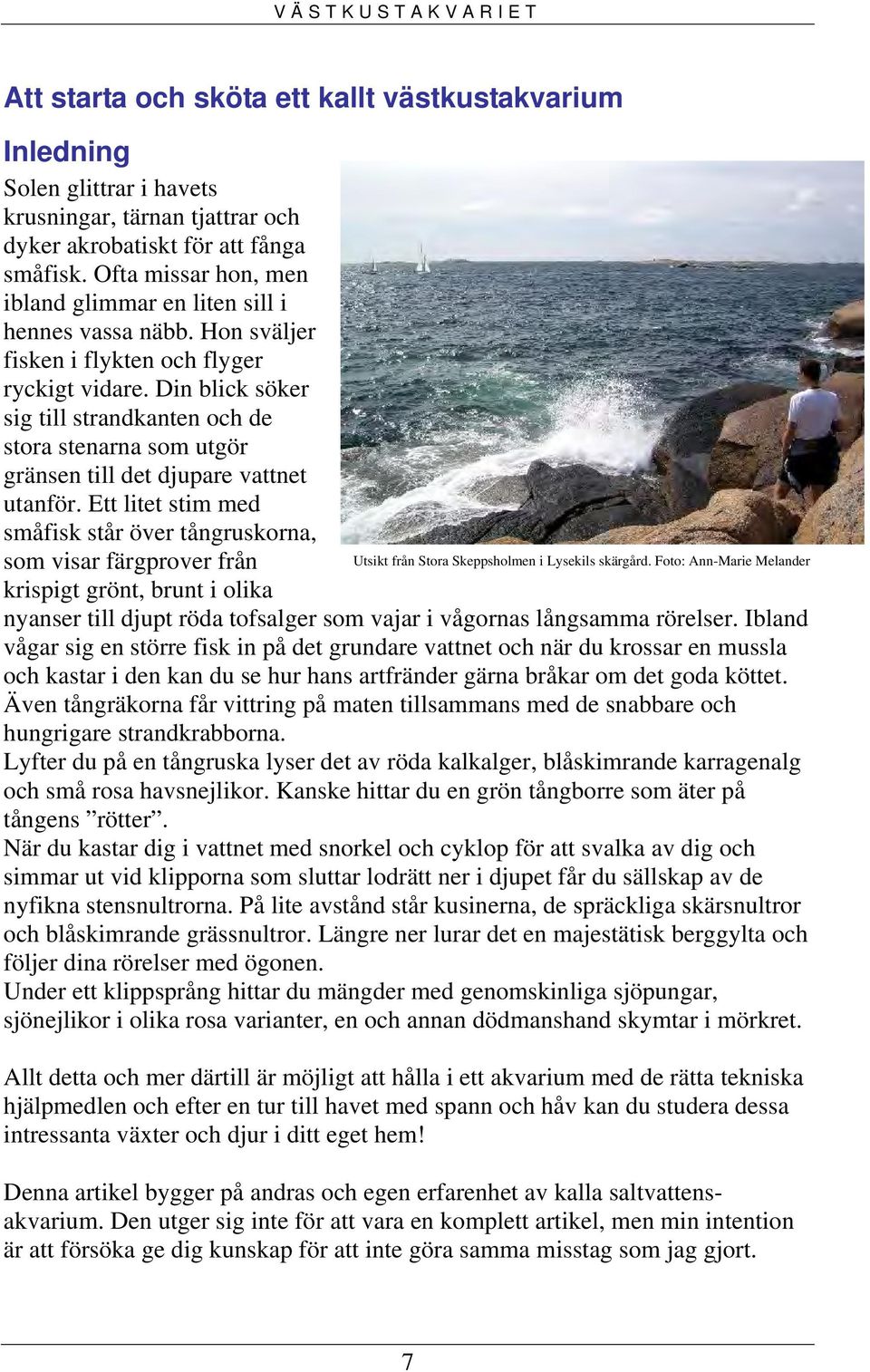 Din blick söker sig till strandkanten och de stora stenarna som utgör gränsen till det djupare vattnet utanför.