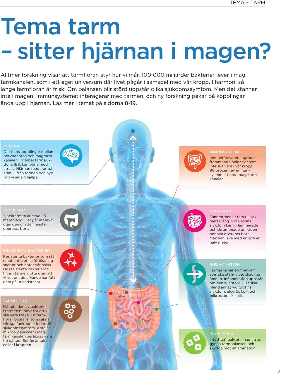 Om balansen blir störd uppstår olika sjukdoms symtom. Men det stannar inte i magen. Immunsystemet inter agerar med tarmen, och ny forskning pekar på kopplingar ända upp i hjärnan.