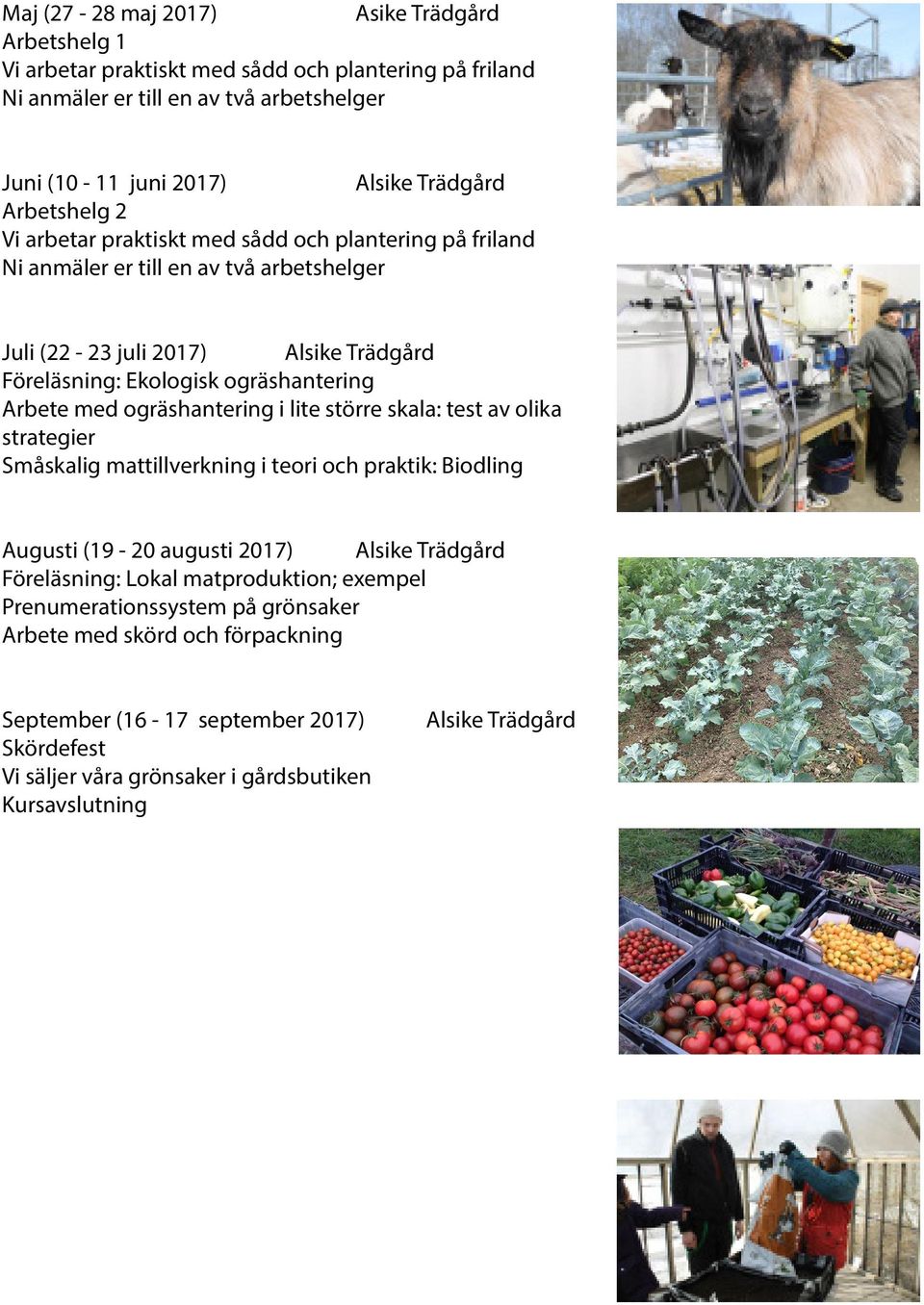 Arbete med ogräshantering i lite större skala: test av olika strategier Småskalig mattillverkning i teori och praktik: Biodling Augusti (19-20 augusti 2017) Alsike Trädgård Föreläsning: Lokal