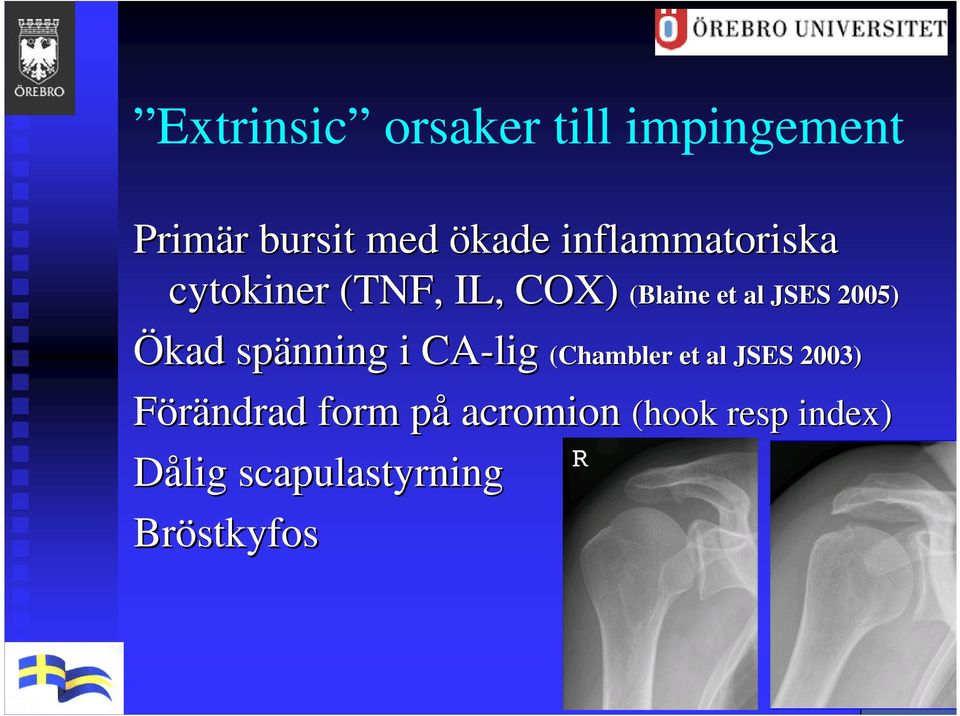 CA-lig (Chambler Blaine et al JSES 2005) Chambler et al JSES 2003)