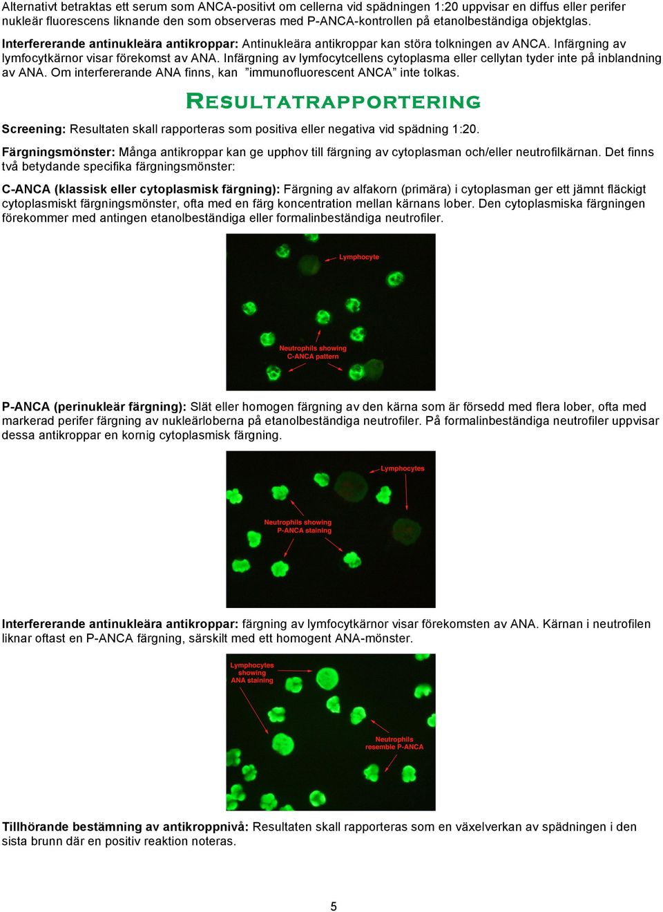 Infärgning av lymfocytcellens cytoplasma eller cellytan tyder inte på inblandning av ANA. Om interfererande ANA finns, kan immunofluorescent ANCA inte tolkas.