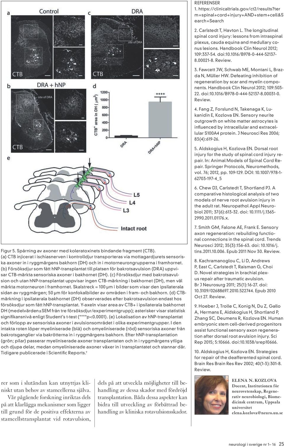 3. Fawcett JW, Schwab ME, Montani L, Brazda N, Müller HW. Defeating inhibition of regeneration by scar and myelin components. Handbook Clin Neurol 2012; 109:503-22. doi:10.1016/b978-0-444-52137-8.