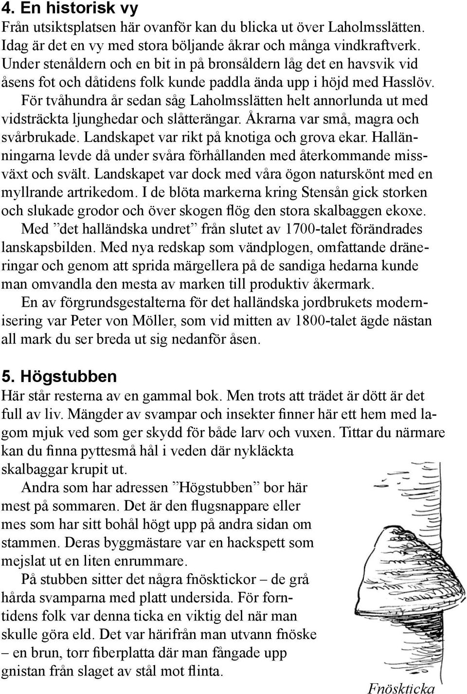 För tvåhundra år sedan såg Laholmsslätten helt annorlunda ut med vidsträckta ljunghedar och slåtterängar. Åkrarna var små, magra och svårbrukade. Landskapet var rikt på knotiga och grova ekar.