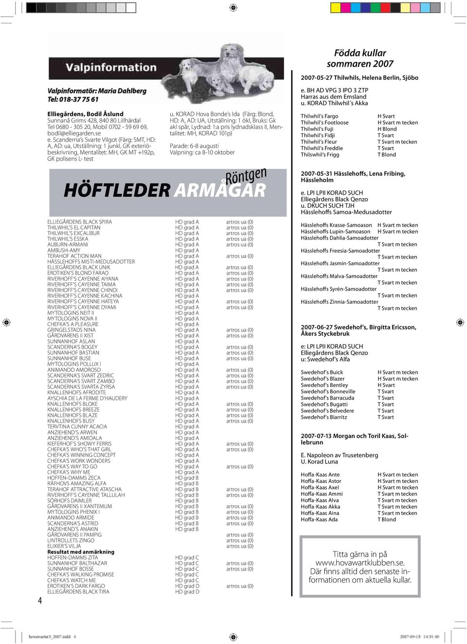 KORAD Hova Bonde s Ida (Färg: Blond, HD: A, AD: UA, Utställning: 1 ökl, Bruks: Gk akl spår, Lydnad: 1:a pris lydnadsklass II, Mentalitet: MH, KORAD 101p) Parade: 6-8 augusti Valpning: ca 8-10 oktober