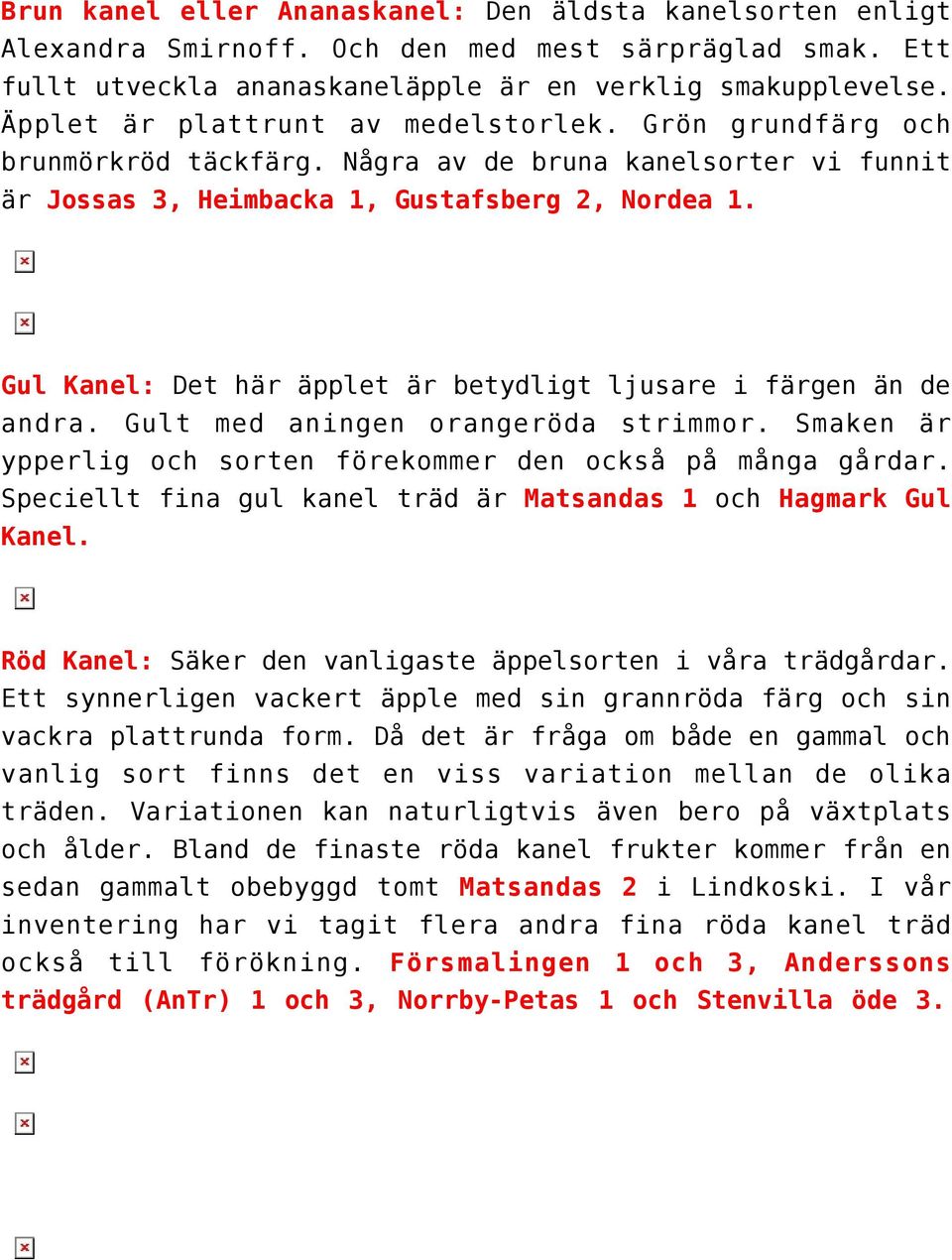 Gul Kanel: Det här äpplet är betydligt ljusare i färgen än de andra. Gult med aningen orangeröda strimmor. Smaken är ypperlig och sorten förekommer den också på många gårdar.