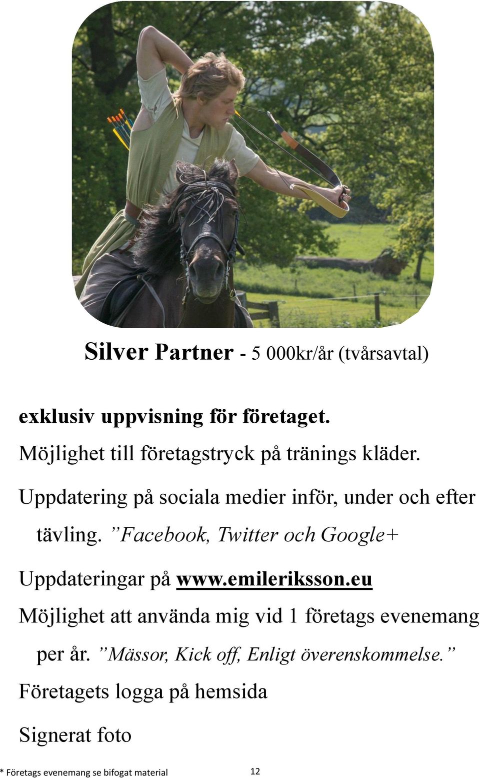 Facebook, Twitter och Google+ Uppdateringar på www.emileriksson.