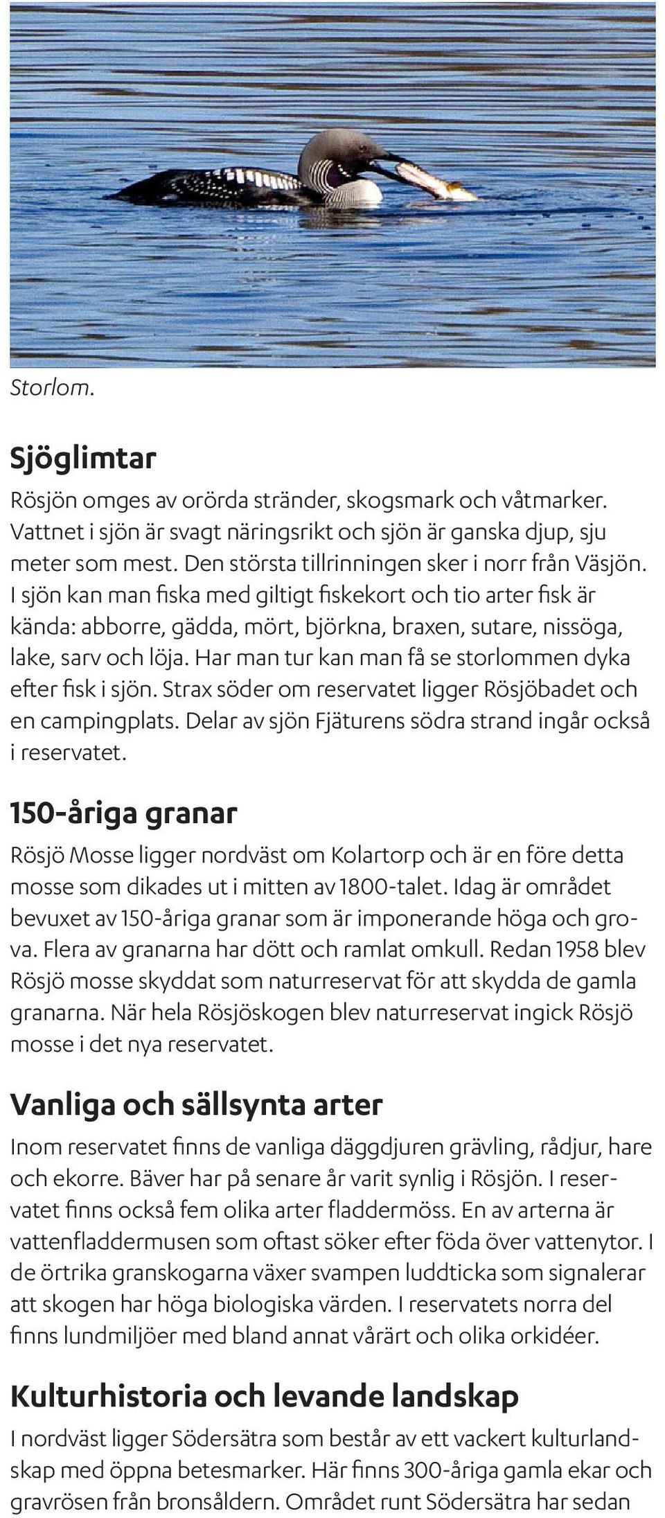 Har man tur kan man få se storlommen dyka efter fisk i sjön. Strax söder om reservatet ligger Rösjöbadet och en campingplats. Delar av sjön Fjäturens södra strand ingår också i reservatet.