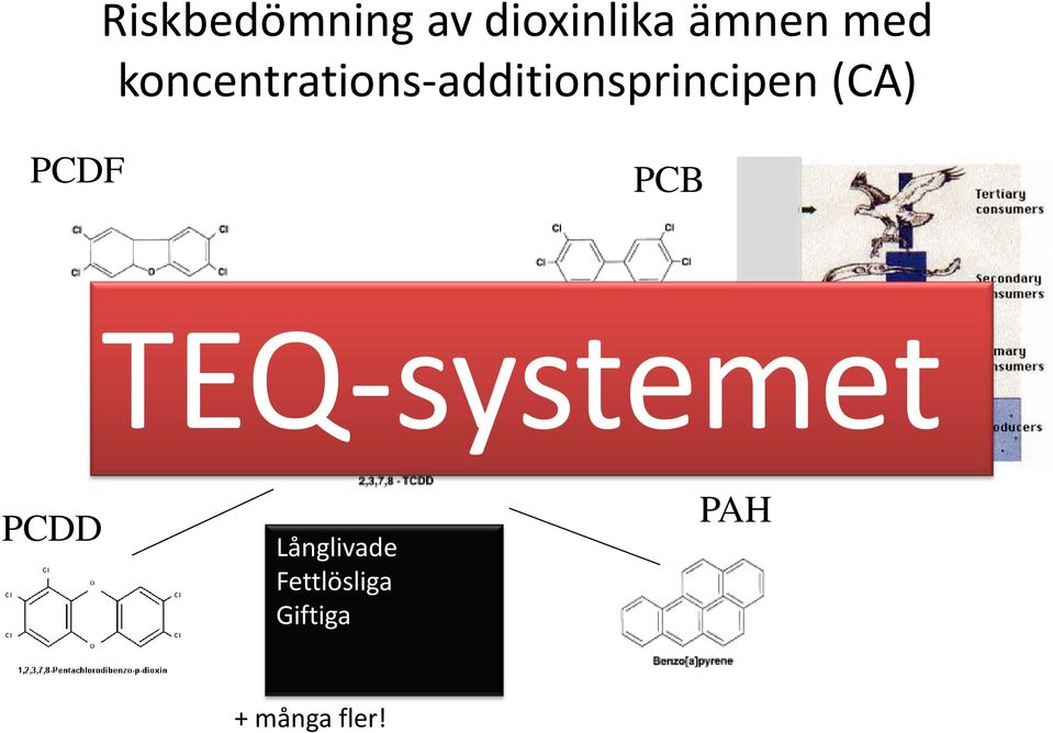 PCDF PCB TEQ-systemet TCDD PCDD