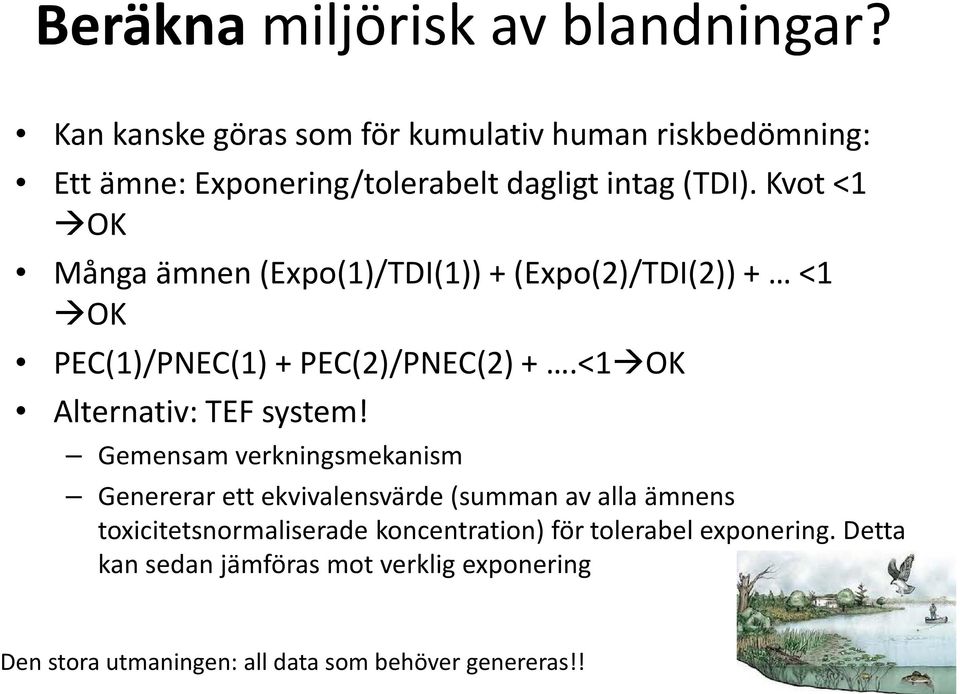 Kvot <1 OK Många ämnen (Expo(1)/TDI(1)) + (Expo(2)/TDI(2)) + <1 OK PEC(1)/PNEC(1) + PEC(2)/PNEC(2) +.<1 OK Alternativ: TEF system!