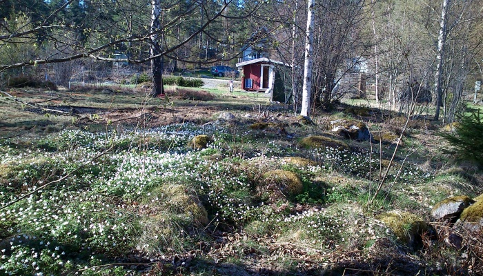 Län Södermanland Gatuadress Kommun Flen Storlek 1811 m² Område Hedenlunda -