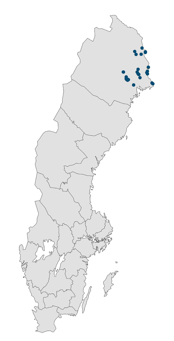 Utbredning och status Grön flodtrollslända är utbredd över stora delar av Europa och österut genom Sibirien till Bajkalsjön.