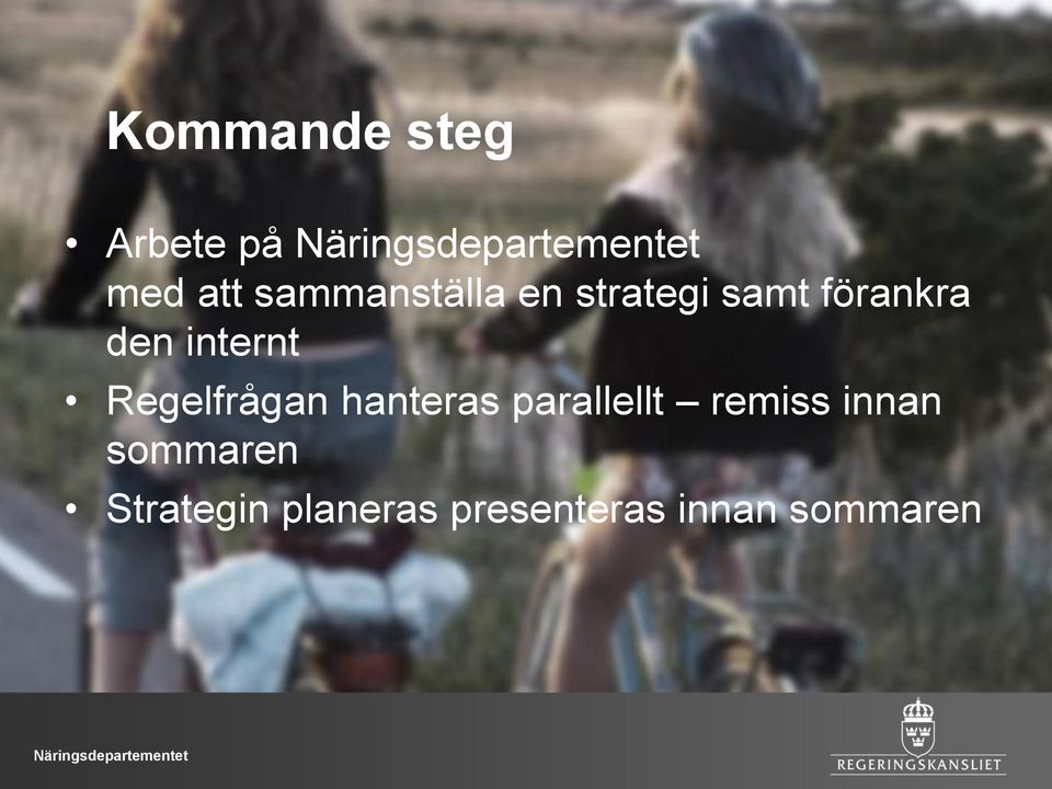 Regelfrågan hanteras parallellt remiss innan