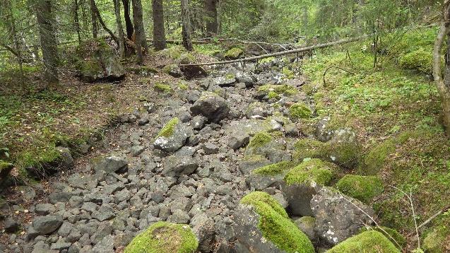 Den tidigare torrlagda sidofåran har nu vattenfyllts och fått liv. Biotopen i denna är i stort sett intakt och kommer i framtiden att utgöra ett viktigt uppväxtområde för Väljeåns öringar.