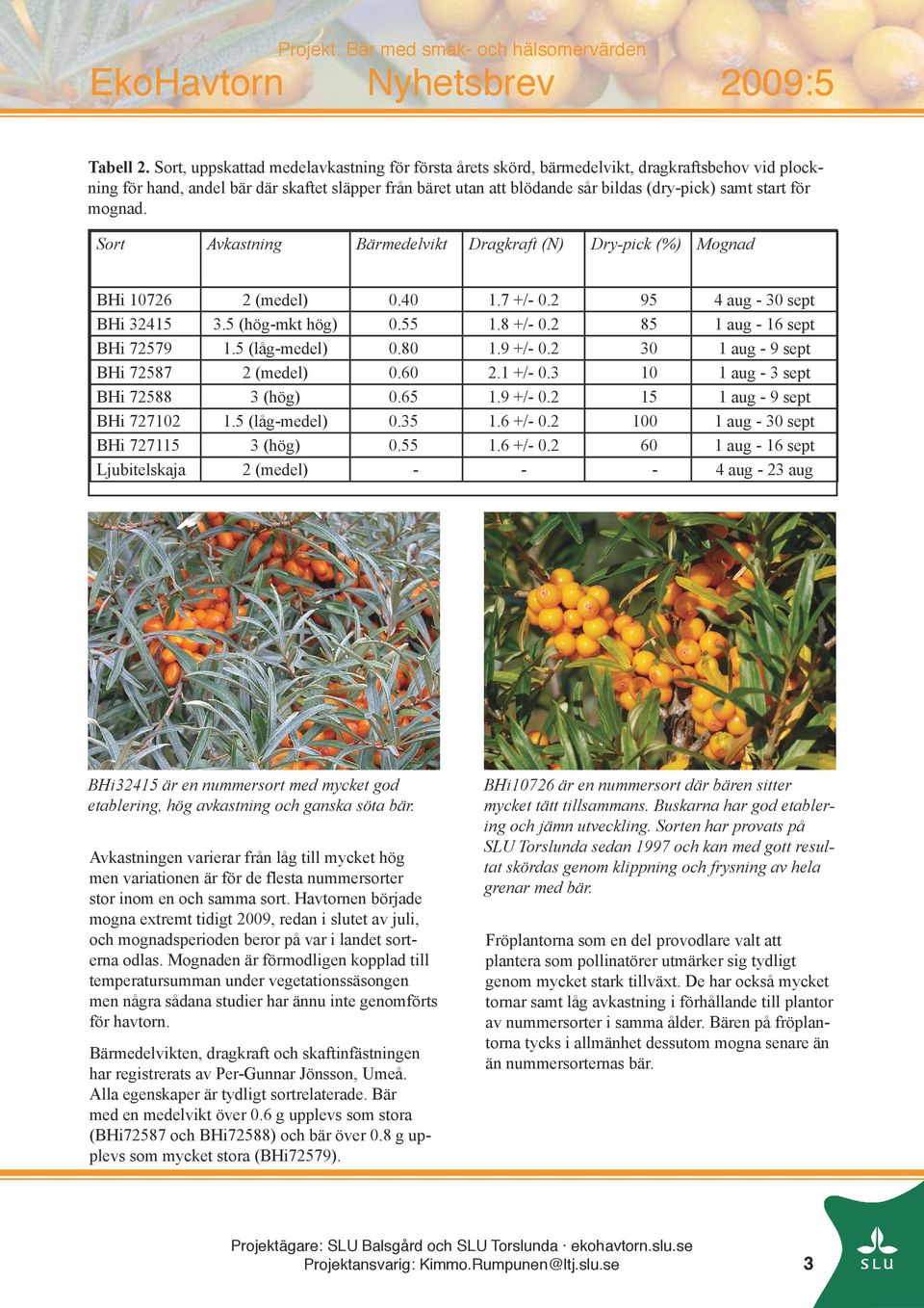start för mognad. Sort BHi 10726 BHi 32415 BHi 72579 BHi 72587 BHi 72588 BHi 727102 BHi 727115 Ljubitelskaja Avkastning 2 (medel) 3.5 (hög-mkt hög) 1.5 (låg-medel) 2 (medel) 3 (hög) 1.
