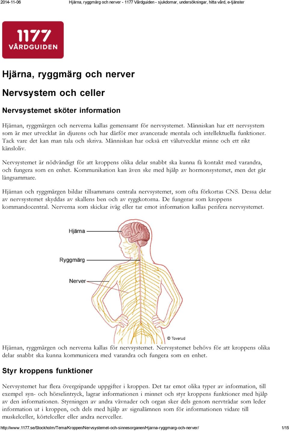 Människan har också ett välutvecklat minne och ett rikt känsloliv. Nervsystemet är nödvändigt för att kroppens olika delar snabbt ska kunna få kontakt med varandra, och fungera som en enhet.