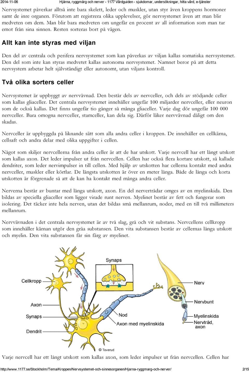 Resten sorteras bort på vägen. Allt kan inte styras med viljan Den del av centrala och perifera nervsystemet som kan påverkas av viljan kallas somatiska nervsystemet.
