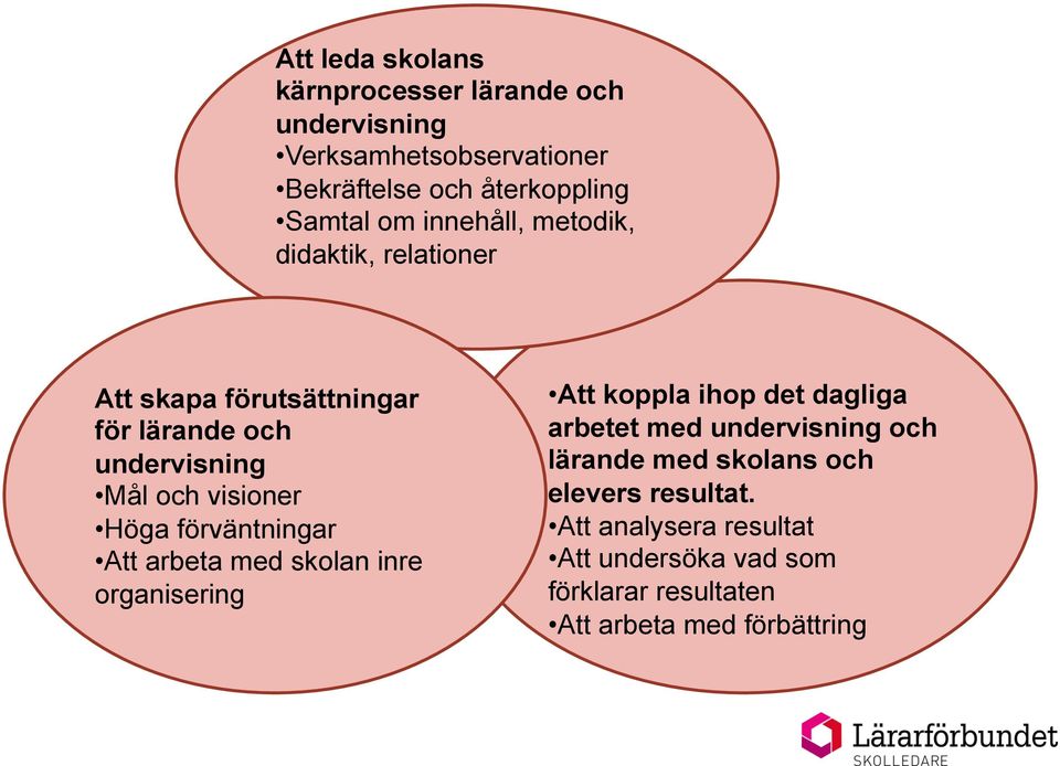 förväntningar Att arbeta med skolan inre organisering Att koppla ihop det dagliga arbetet med undervisning och lärande