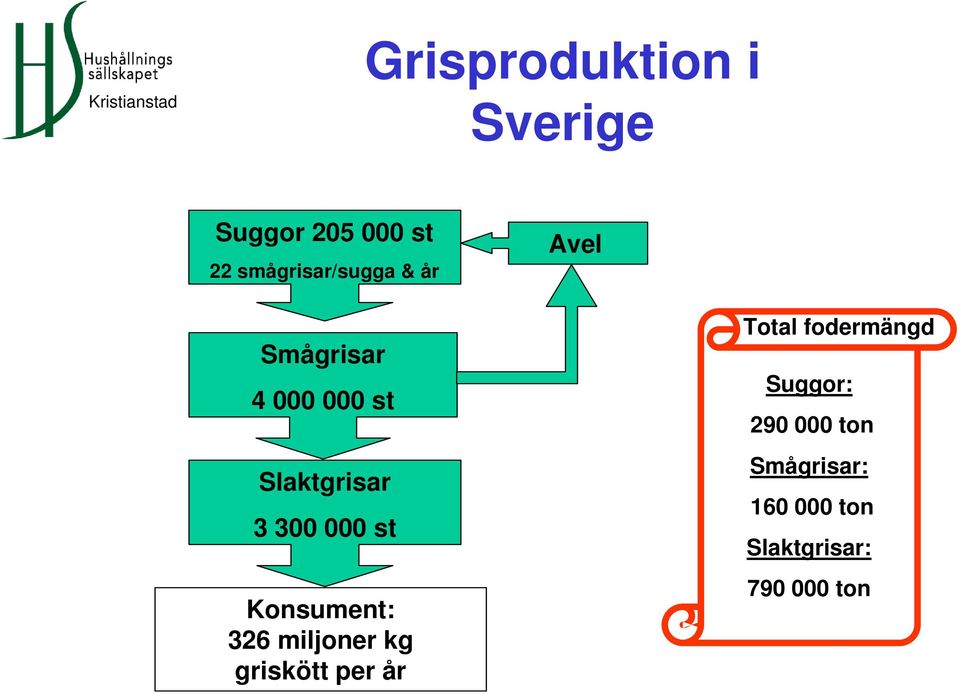 Konsument: 326 miljoner kg griskött per år Total fodermängd