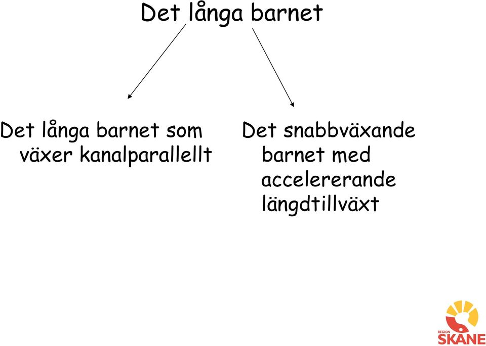 kanalparallellt Det