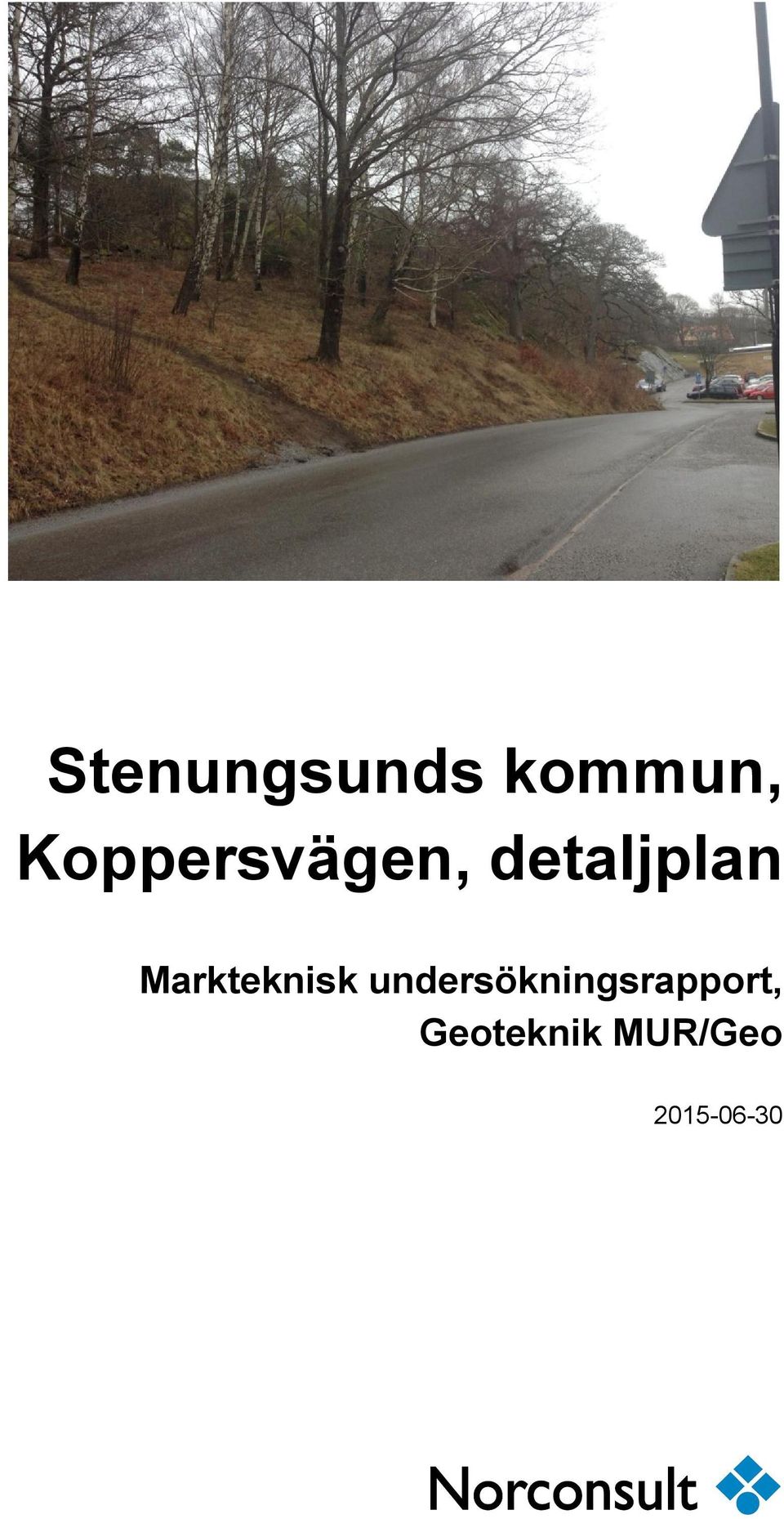 undersökningsrapport,