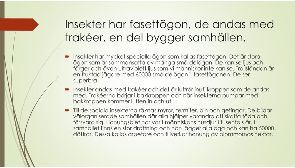 Insekter andas med trakéer och det är luftrör inuti kroppen som de andas med. Trakéerna börjar i bakkroppen och när insekterna pumpar med bakkroppen kommer luften in och ut.