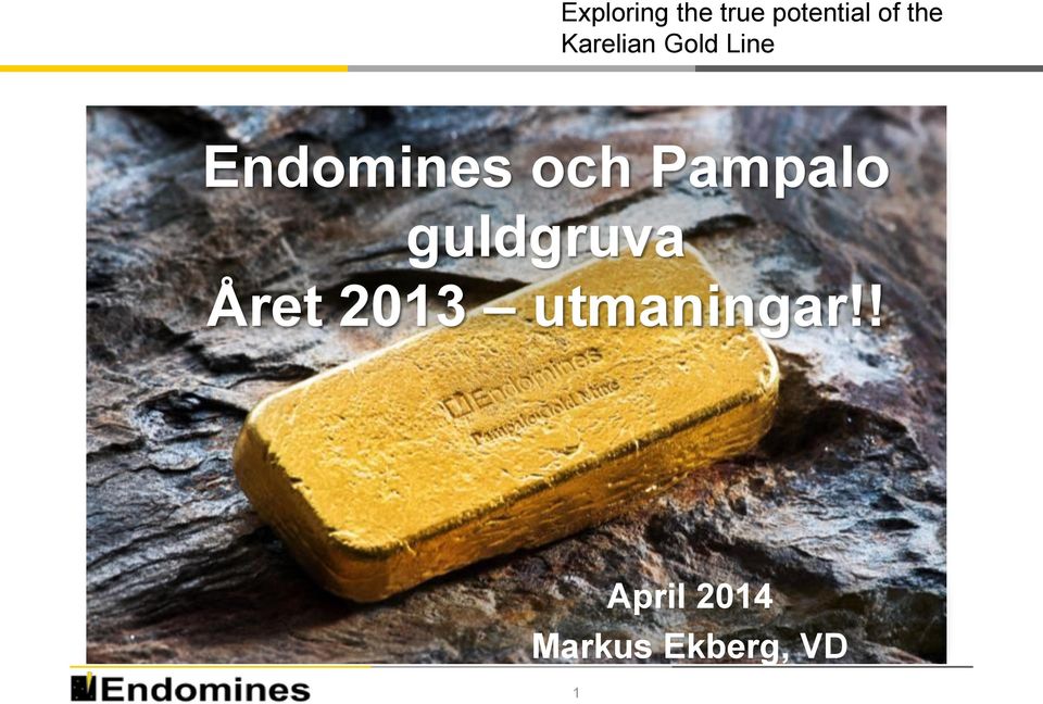 och Pampalo guldgruva Året 2013