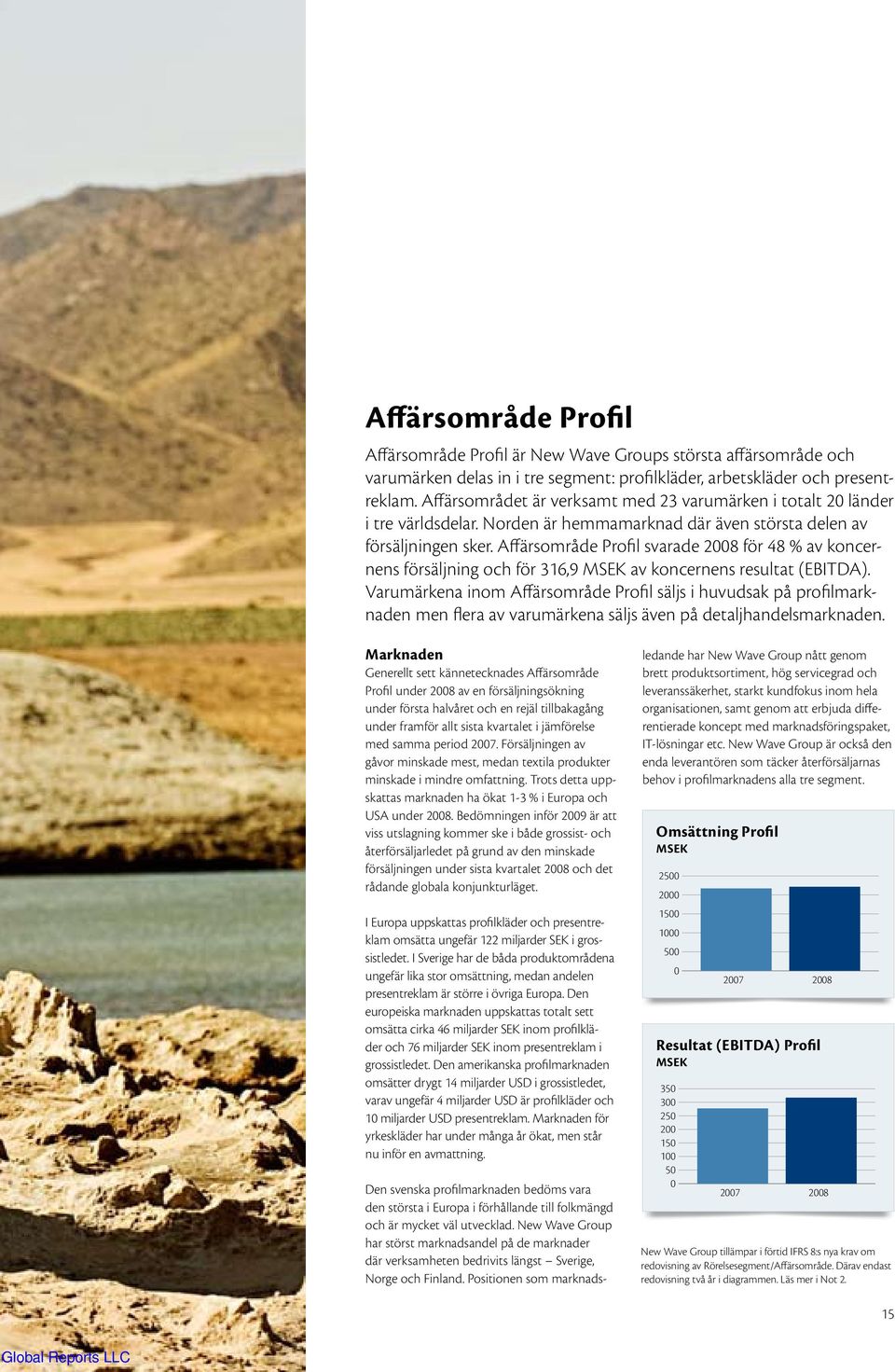 Affärsområde Profil svarade 2008 för 48 % av koncernens försäljning och för 316,9 MSEK av koncernens resultat (EBITDA).