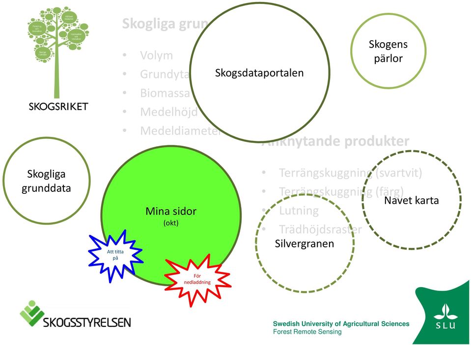 Terrängskuggning (svartvit) Terrängskuggning (färg) Lutning Trädhöjdsraster