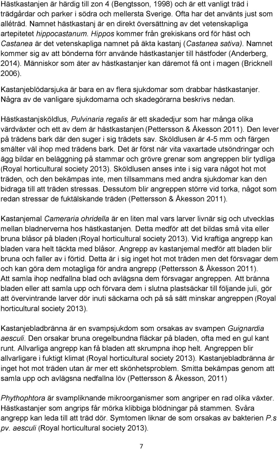 Hippos kommer från grekiskans ord för häst och Castanea är det vetenskapliga namnet på äkta kastanj (Castanea sativa).